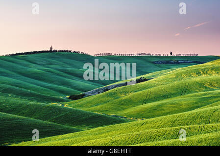 Grün, erwacht der Frühling in der Toskana. Stockfoto