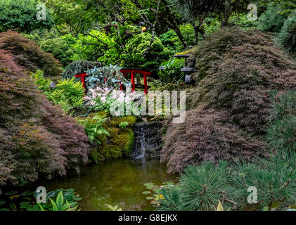 Japanisch-Wasser-Brücke Stockfoto