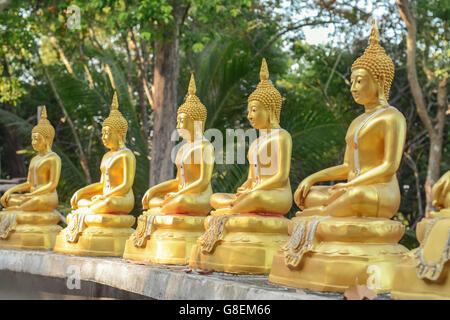 Reihe von Buddha-Statuen in Koh Phayam, Thailand Stockfoto