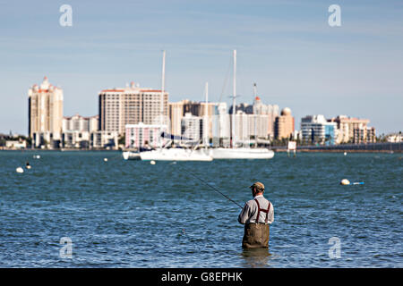 Fischer waten in Sarasota Bay in Sarasota, Florida. Stockfoto