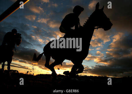 Exeter Racecourse - Higos Versicherungsdienstleistungen Devon Tag Stockfoto