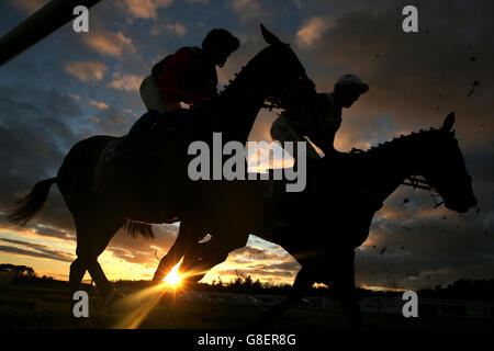 Läufer und Fahrer werden vor einem Sonnenuntergang Himmel wie silhouettiert Sie machen sich auf den Weg zum Start des Higos Thatch Property Insurance Conditional Jockeys' Handicap-Hürde Stockfoto