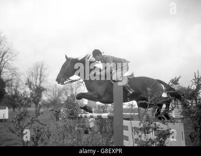 David Broome - Olympischen Springreiten Training - Arundel, Sussex Stockfoto