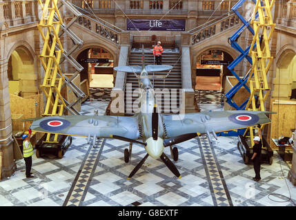 Eine Mark 21 Spitfire, die seit mehr als einem Jahrzehnt in der Kelvingrove Art Gallery and Museum in Glasgow zu sehen ist, wird auf den Boden gesenkt, um eine Reihe von Sicherheits- und Konservierungskontrollen durchzuführen. Stockfoto