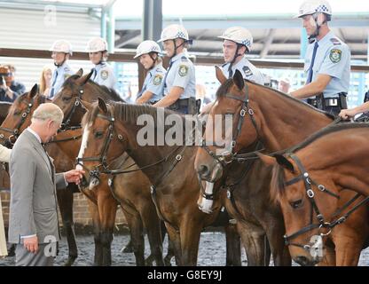 Der Prinz von Wales trifft das Mounted Display Team am Hauptsitz der New South Wales Mounted Police in den Vororten von Sydney in Australien. Stockfoto