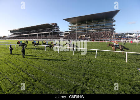 Läufer in der Stahlplatte und Abschnitte Novizen Chase gehen an den Tribünen während des ersten Tages der Open auf Cheltenham Rennbahn, Cheltenham vorbei. Stockfoto