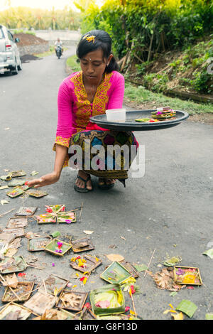 Balinesische Anhänger verlassen Canang Sari rituellen Opfergaben auf einer Straße nahe Ubud Stockfoto
