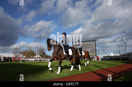 Cheltenham Rennen - Open - Tag eins Stockfoto