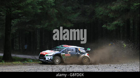 Zweiter bei der Welsh Rally 2015 (GBR) Kris Meeke (rechts) und Co-Pilot (IRE) Paul Nagle, der am vierten Tag der Wales Rally GB am Brenig von der insgesamt Abu Dhabi WRT auf der Sonderetappe 19 gefahren wurde. Stockfoto