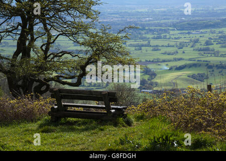 Holzbank mit Blick auf die sanfte Landschaft von Somerset am Rande der Mendip Hills in der Nähe der Ebbor Gorge und des Dorfes Wookey Hole, England. Stockfoto