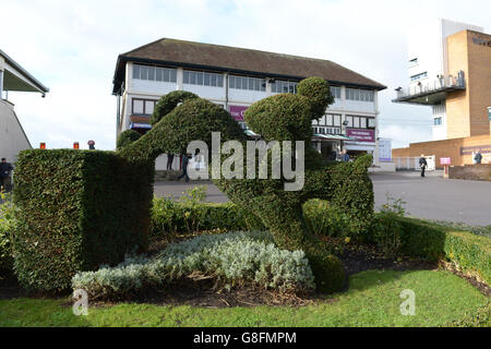 Ein allgemeiner Blick auf den Fontwell Park während der Autumn Raceday auf der Fontwell Racecourse, Arundel. DRÜCKEN SIE VERBANDSFOTO. Bilddatum: Mittwoch, 25. November 2015. Siehe PA Story RACING Fontwell. Bildnachweis sollte lauten: Adam Davy/PA Wire Stockfoto