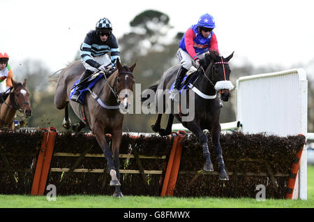 Bells 'N' Banjos von Gavin Sheehan (rechts) gewinnt beim Autumn Raceday auf der Fontwell Racecourse, Arundel, den Kanzler des FormChecker Handicap Hurdle Race. Stockfoto