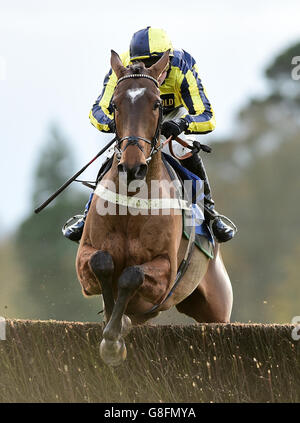 Showboater mit Nico de Boinville gewinnt die Handicap-Verfolgungsjagd der Brooks Macdonald Novices während des Autumn Raceday auf der Fontwell Racecourse, Arundel. DRÜCKEN SIE VERBANDSFOTO. Bilddatum: Mittwoch, 25. November 2015. Siehe PA Story RACING Fontwell. Bildnachweis sollte lauten: Adam Davy/PA Wire Stockfoto