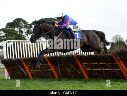 Arquebusier, der von James Banks geritten wird, springt als Letzter zum George Rogers Memorial Handicap Hurdle Race während des Autumn Raceday auf der Fontwell Racecourse, Arundel. Stockfoto