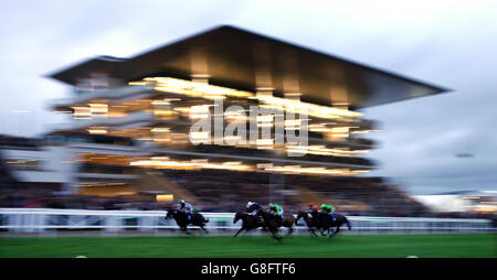 Cheltenham Rennen - Open - Paddy Power Gold Cup Tag Stockfoto