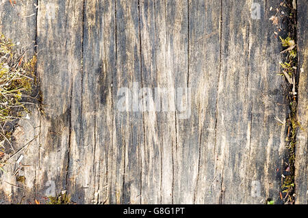 Verwitterte Holzbrett mit vertikalen Rissen. Stockfoto