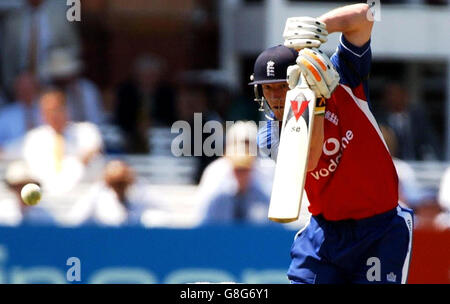 Cricket - NatWest Challenge ODI - England - Australien - Lords. Englands Paul Collingwood. Stockfoto