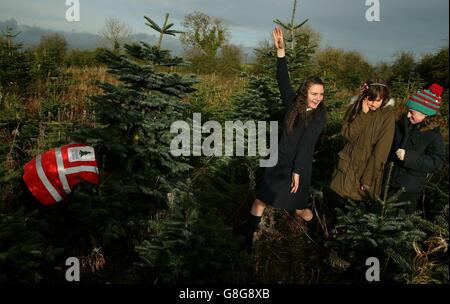 Schüler der Kilcoskan National School warten auf Charlie Blount, der ihren Weihnachtsbaum auf der familiengeführten Caulstown Christmas Tree Farm, Co. Meath, schneidet, die vor Weihnachten für Besuche der Öffentlichkeit geöffnet ist. Stockfoto