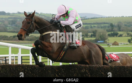 Djakadam von Ruby Walsh geritten springt der letzte, um die John Durkan Memorial Punchestown Steeplechase während des John Durkan Memorial Chase Day auf Punchestown Racecourse, Co. Kildare, Irland zu gewinnen. Stockfoto