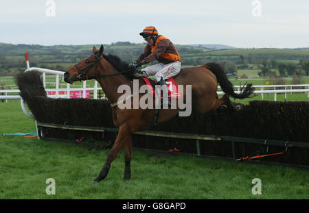 Sumos Novios von Robbie Power geritten gewinnt die 3 for 2 Festival Tickets @ punchestown.com Handicap Steeplechase während des John Durkan Memorial Chase Day auf der Punchestown Racecourse, Co. Kildare, Irland. Stockfoto