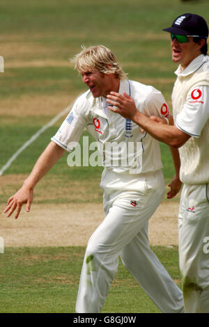 Cricket - The Ashes - npower First Test - England gegen Australien - Lord's. Matthew Hoggard, Englands, feiert, dass er dem australischen Ricky Ponting das Dickicht abnimmt Stockfoto