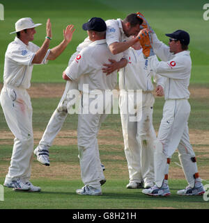 Cricket - The Ashes - npower First Test - England gegen Australien - Lord's. Der englische Steve Harmion feiert, dass er das Dickicht von der australischen Shane Warne abnimmt Stockfoto