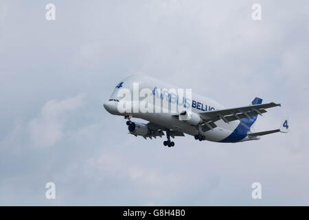 Hamburg, Deutschland - 27. Juni 2016: A Beluga Supertransporter landet auf dem Airbus-Werk in Hamburg-Finkenwerder Stockfoto