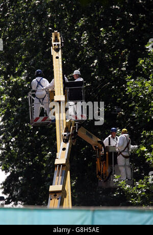 Forensische Polizeibeamte durchsuchen Bäume von einem Kirschpflücker in der Nähe des Ortes, an dem am vergangenen Donnerstag auf dem Londoner Tavistock Square ein Autobusbombenanschlag stattfand. Stockfoto