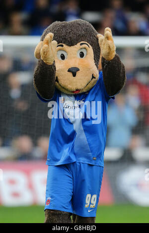 Hartlepool United gegen Leyton Orient - Sky Bet League Two - Victoria Park Stockfoto