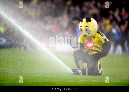 Watford Maskottchen Harry the Hornet mit einem Sprinkler vor dem Barclays Premier League Spiel in Vicarage Road, Watford. Stockfoto