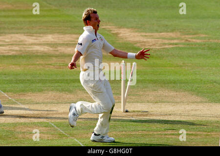 Cricket - The Ashes - npower First Test - England gegen Australien - Lord's. Das australische Brett Lee feiert ein Wicket Stockfoto