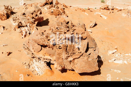 Sand Rose gefunden in der Wüste von ABU DHABI, UNITED ARAB EMIRATES Stockfoto