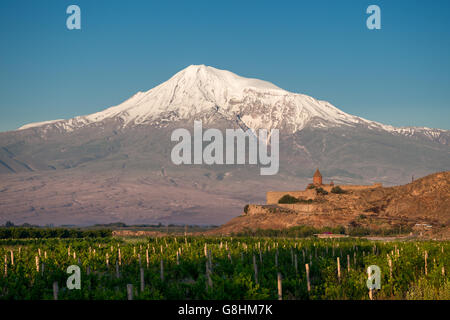 Kloster Khor Virap vor Berg Ararat. Armenien Stockfoto