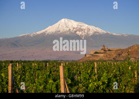 Kloster Khor Virap vor Berg Ararat. Armenien Stockfoto