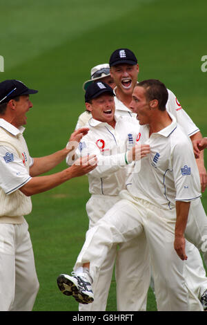 Der englische Simon Jones feiert die Aufnahme von Damien Martyn in Australien Stockfoto