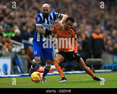 Bruno Saltor von Brighton & Hove Albion (links) und Wolverhampton Wanderers' Jordan Graham (rechts) kämpft um den Ball Stockfoto