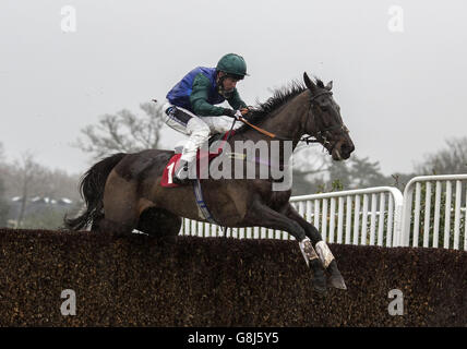 Bishops Road, die von Jamie Moore geritten wird, räumt den letzten Zaun, bevor es zum 32Red Handicap Steeple Chase Race Run am 32Red Day auf der Sandown Park Racecourse, Esher, geht. DRÜCKEN SIE VERBANDSFOTO. Bilddatum: Samstag, 2. Januar 2016. Siehe PA Story RACING Sandown. Bildnachweis sollte lauten: Julian Herbert/PA Wire Stockfoto