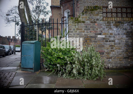 Auf den Straßen von Battersea, London, ist ein weggeworfener Weihnachtsbaum zu sehen. Stockfoto