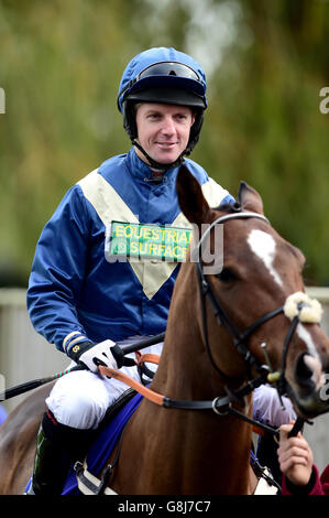 Fontwell Racecourse - Herbst Raceday Stockfoto