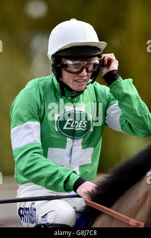 Fontwell Racecourse - Herbst Raceday Stockfoto