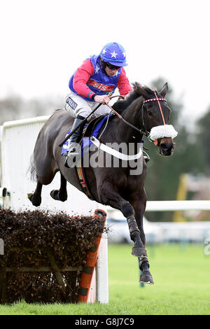 Fontwell Racecourse - Autumn Raceday. Glocken 'N' Banjos, die von Gavin Sheehan während der Kanzler der Formchecker Handicap-Hürde geritten wurden Stockfoto