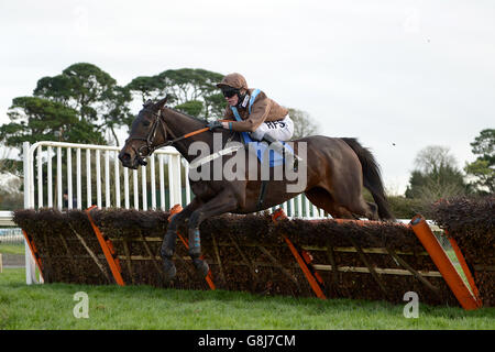 Fontwell Racecourse - Autumn Raceday. Angemessen geritten von Richie McLerkon in Aktion während der George Rogers Memorial Handicap Hürde Stockfoto