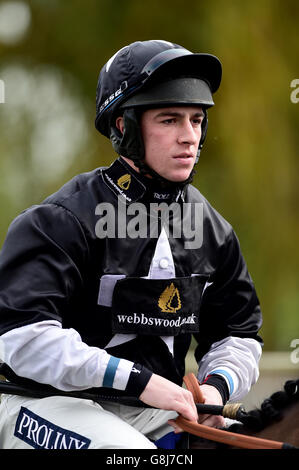 Fontwell Racecourse - Autumn Raceday. Gavin Sheehan, Jockey Stockfoto