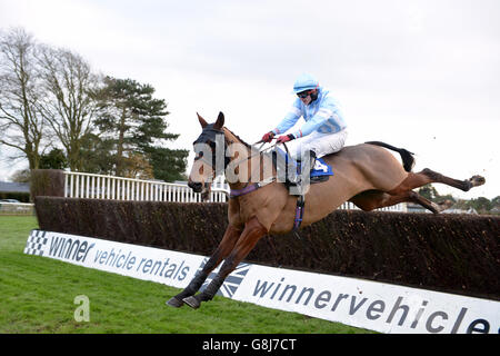 Fontwell Racecourse - Autumn Raceday. Double Dan unter Mikey Hamill in Aktion während der Handicap Chase von David How Much Lever Conditional Jockeys' Training Series Stockfoto