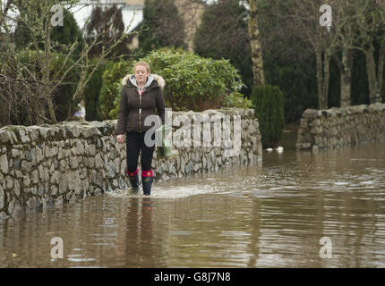 Eine Frau geht in Port Elphinstone in der Nähe von Aberdeen durch Hochwasser, nachdem der Fluss Don bei anhaltenden starken Regenfällen auf Rekordwerte angestiegen und seine Ufer geplatzt hat. Stockfoto