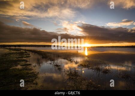 Die Sonne geht über den überfluteten Somerset-Ebenen auf, während kälteres Wetter und klarerer Nachthimmel über Teile Großbritanniens mit Frost- und Schneevorhersage greifen. Stockfoto