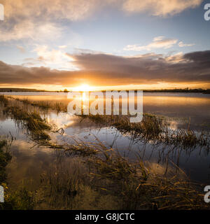 Die Sonne geht über den überfluteten Somerset-Ebenen auf, während kälteres Wetter und klarerer Nachthimmel über Teile Großbritanniens mit Frost- und Schneevorhersage greifen. Stockfoto