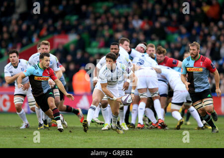 Harlekine V Cardiff Blues - European Challenge Cup - drei Pool - Twickenham Stoop Stockfoto