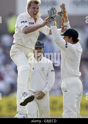 Cricket - The Ashes - npower Third Test - England gegen Australien - Old Trafford. Der australische Brett Lee (L) feiert das Dickicht des englischen Matthew Hoggard. Stockfoto