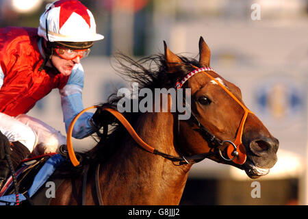 Pferderennen Sie-Epsom Live! -Epsom Downs Racecourse Stockfoto